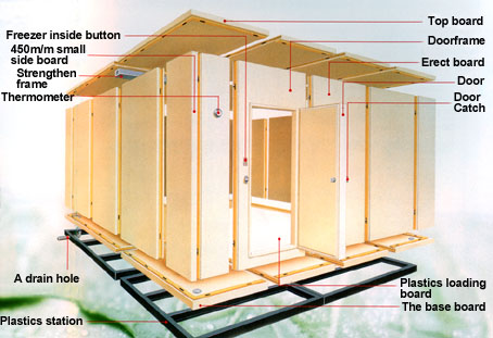 Combined Freezer Structure illustration